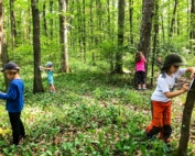 Kinder suchen etwas im Wald