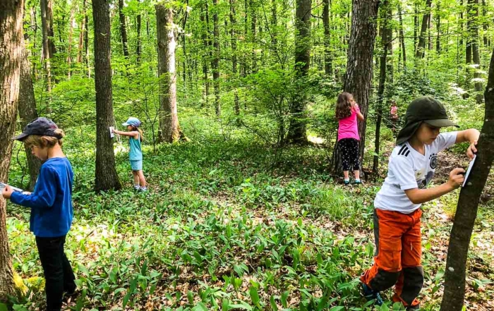 Kinder suchen etwas im Wald